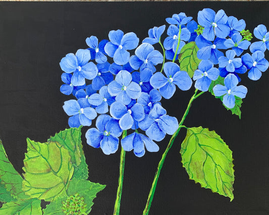 Flowers | Blue Hydrangea Giclée Print