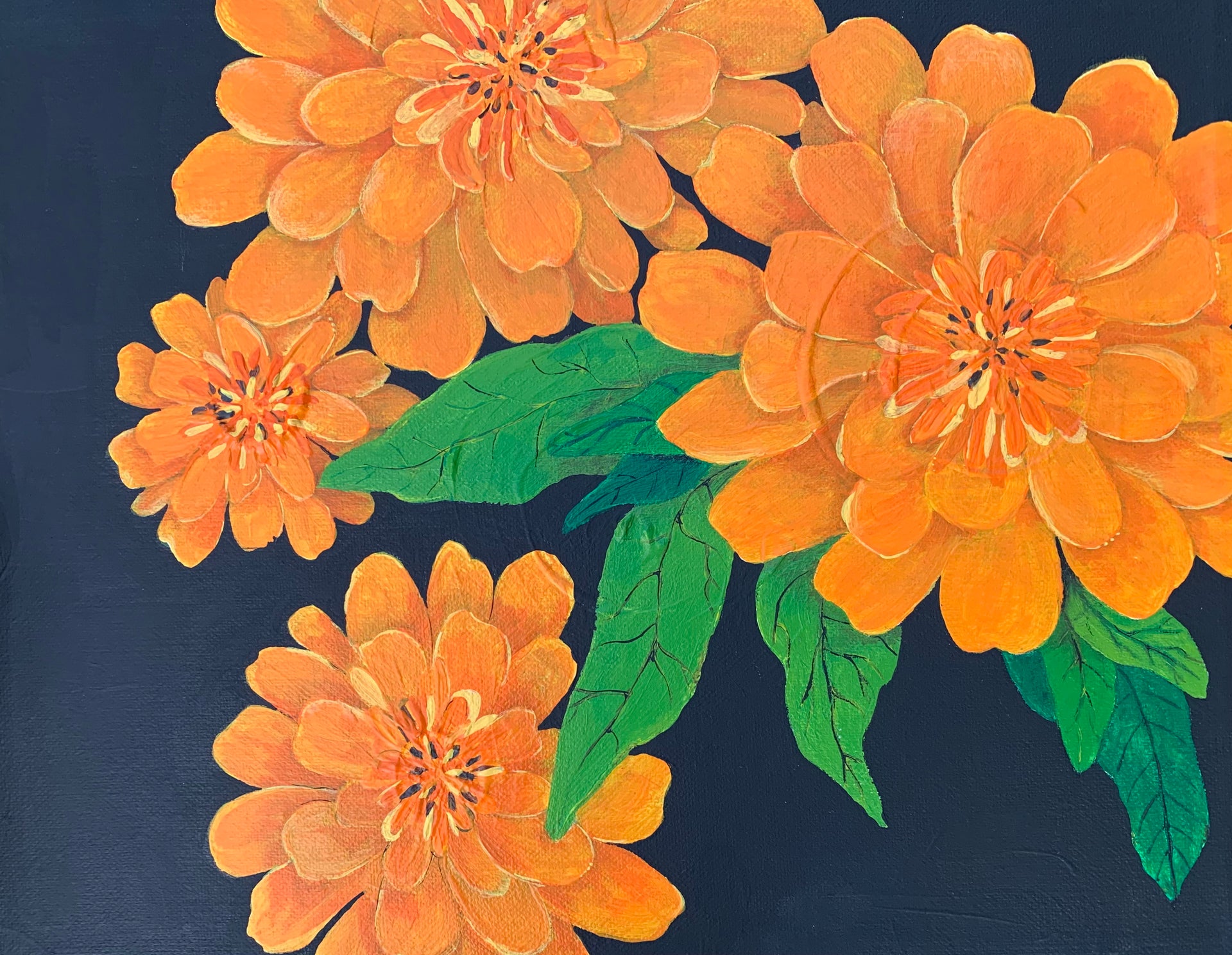Flowers | Zinnia